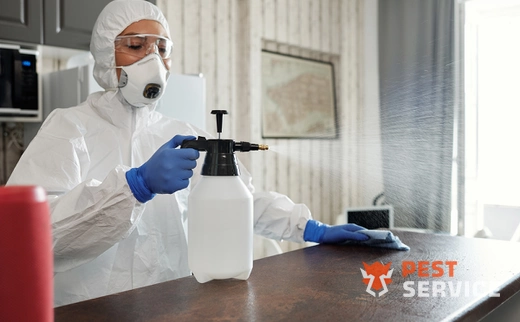 Дезинфекция в Чишмах