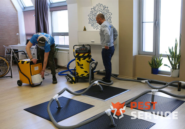 Профессиональная сушка после потопа в Чишмах от 3000 руб. Быстро устраняем влагу, предотвращаем плесень и повреждения. Современное оборудование и опытные специалисты. Безопасно и эффективно.